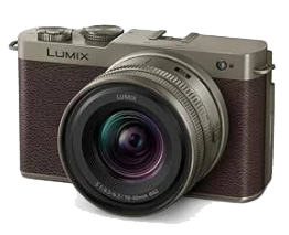 LUMIX Kompaktkamera DC-L10
